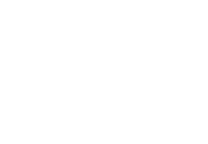 Lionel Zeiter - Logo